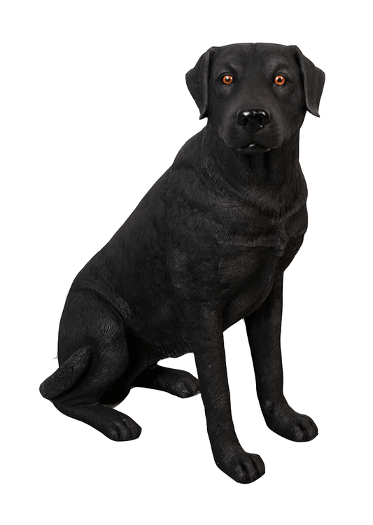 Dog Labrador Sitting Black Animal Prop Life Size D̩ecor Resin Statue