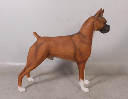 Dog Boxer Brown Animal Prop Life Size D̩ecor Resin Statue - LM Treasures Prop Rentals 