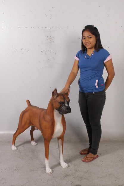 Dog Boxer Brown Animal Prop Life Size D̩ecor Resin Statue - LM Treasures Prop Rentals 