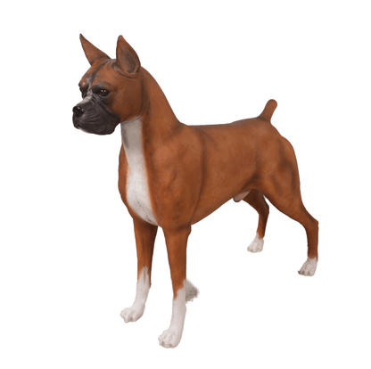Dog Boxer Brown Animal Prop Life Size D̩ecor Resin Statue
