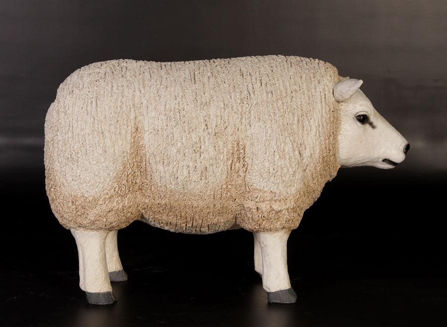 Texelaar Baby Sheep Head Up Statue - LM Treasures Prop Rentals 