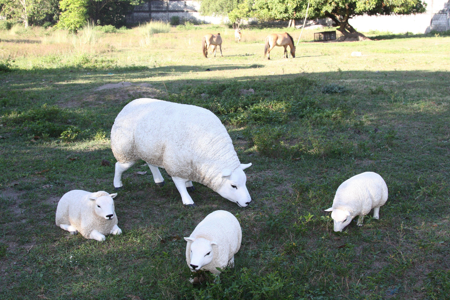 Texelaar Baby Sheep Head Up Statue - LM Treasures Prop Rentals 