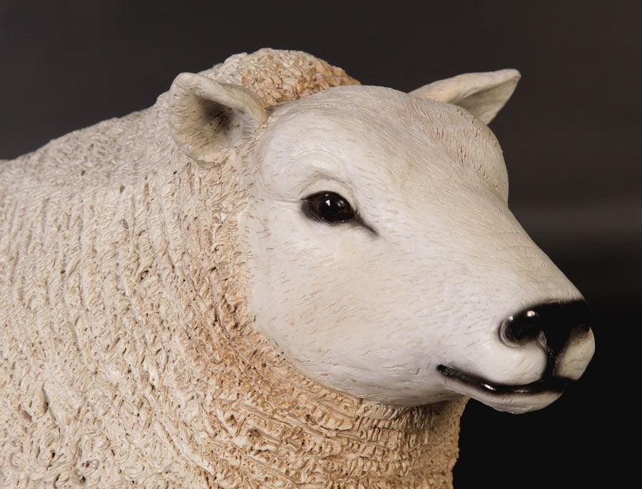 Texelaar Baby Sheep Laying Statue - LM Treasures Prop Rentals 