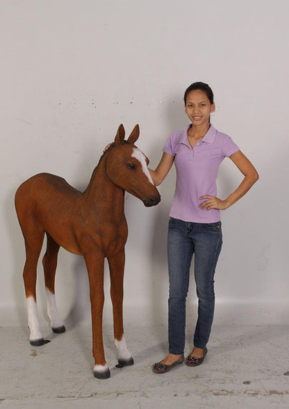 Pony Foal Horse Standing Statue