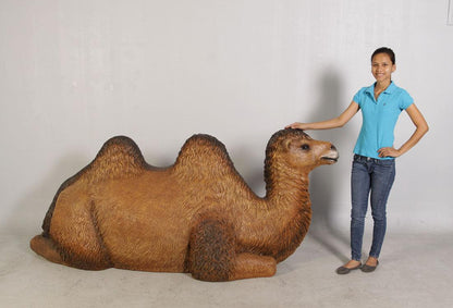 Laying Camel Nativity Life Size Statue