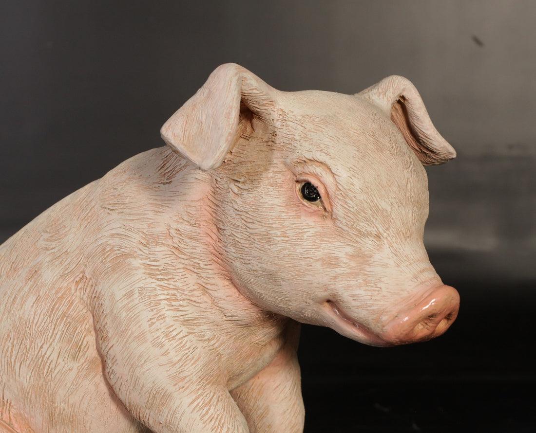 New Born Baby Pig Sitting Statue - LM Treasures Prop Rentals 