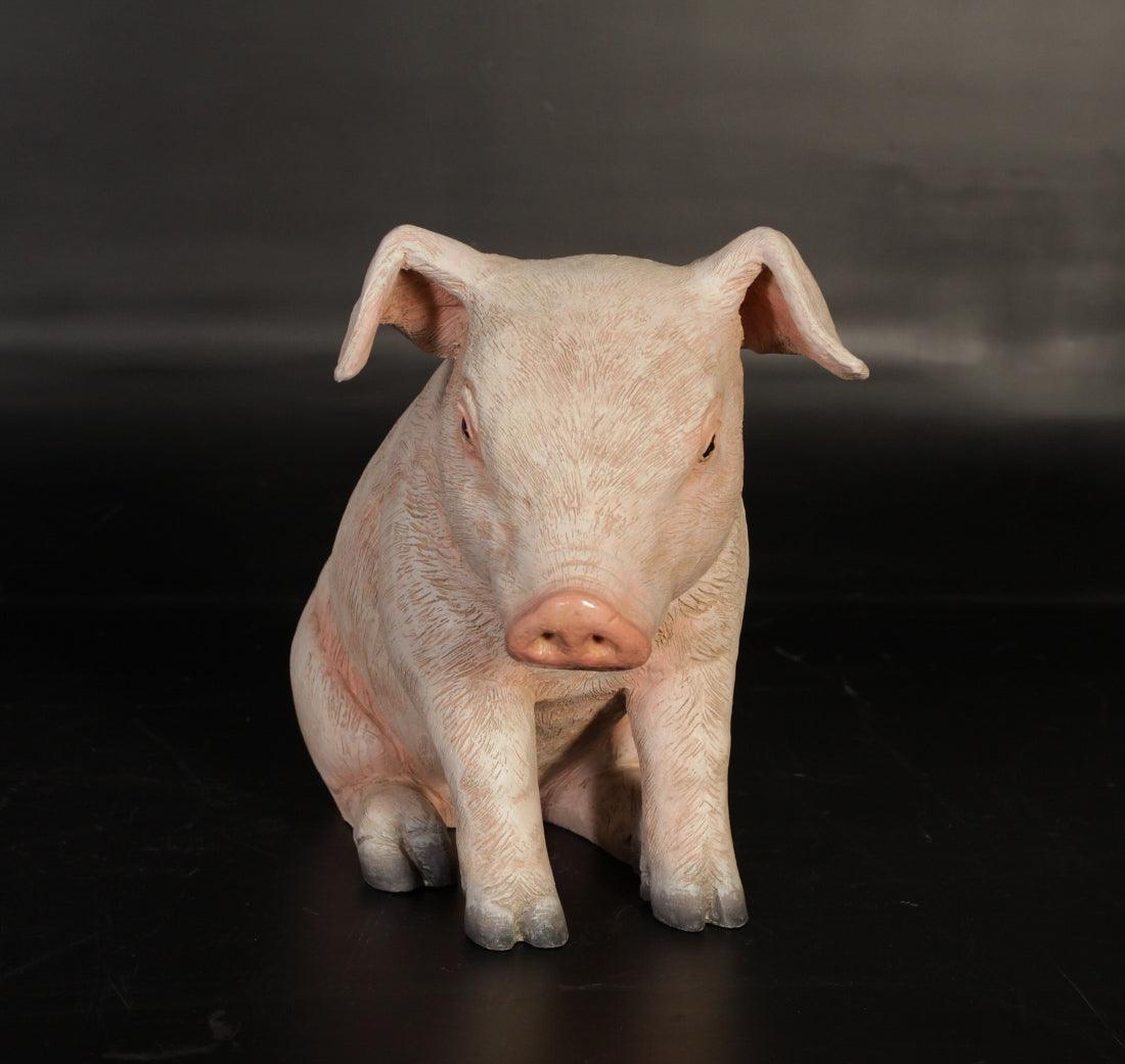 New Born Baby Pig Sitting Statue