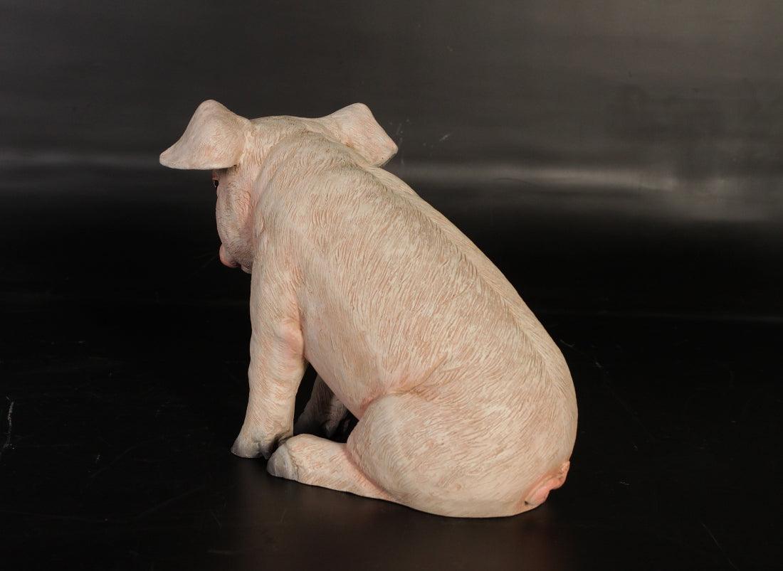 New Born Baby Pig Sitting Statue