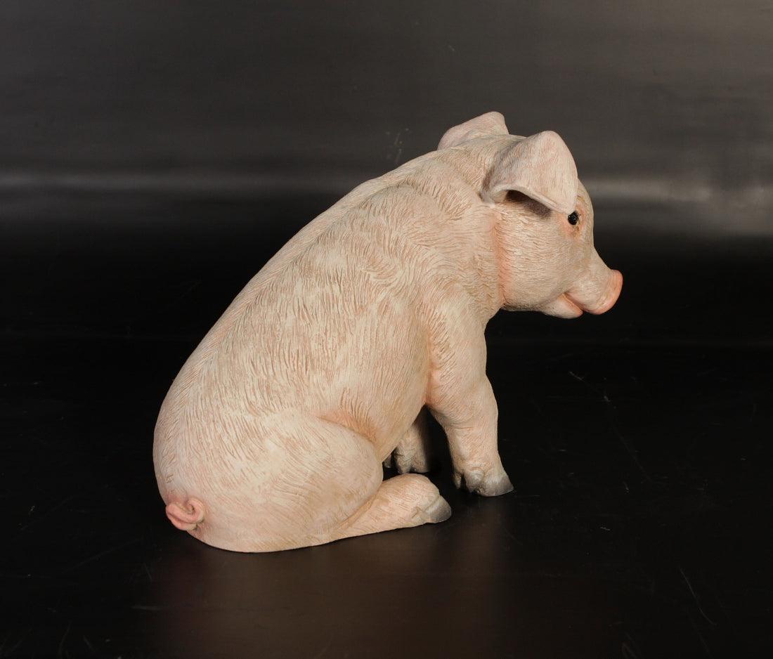 New Born Baby Pig Sitting Statue - LM Treasures Prop Rentals 