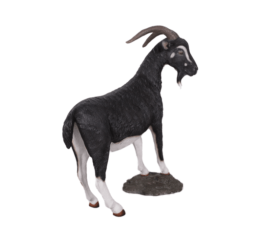Black Billy Goat Statue