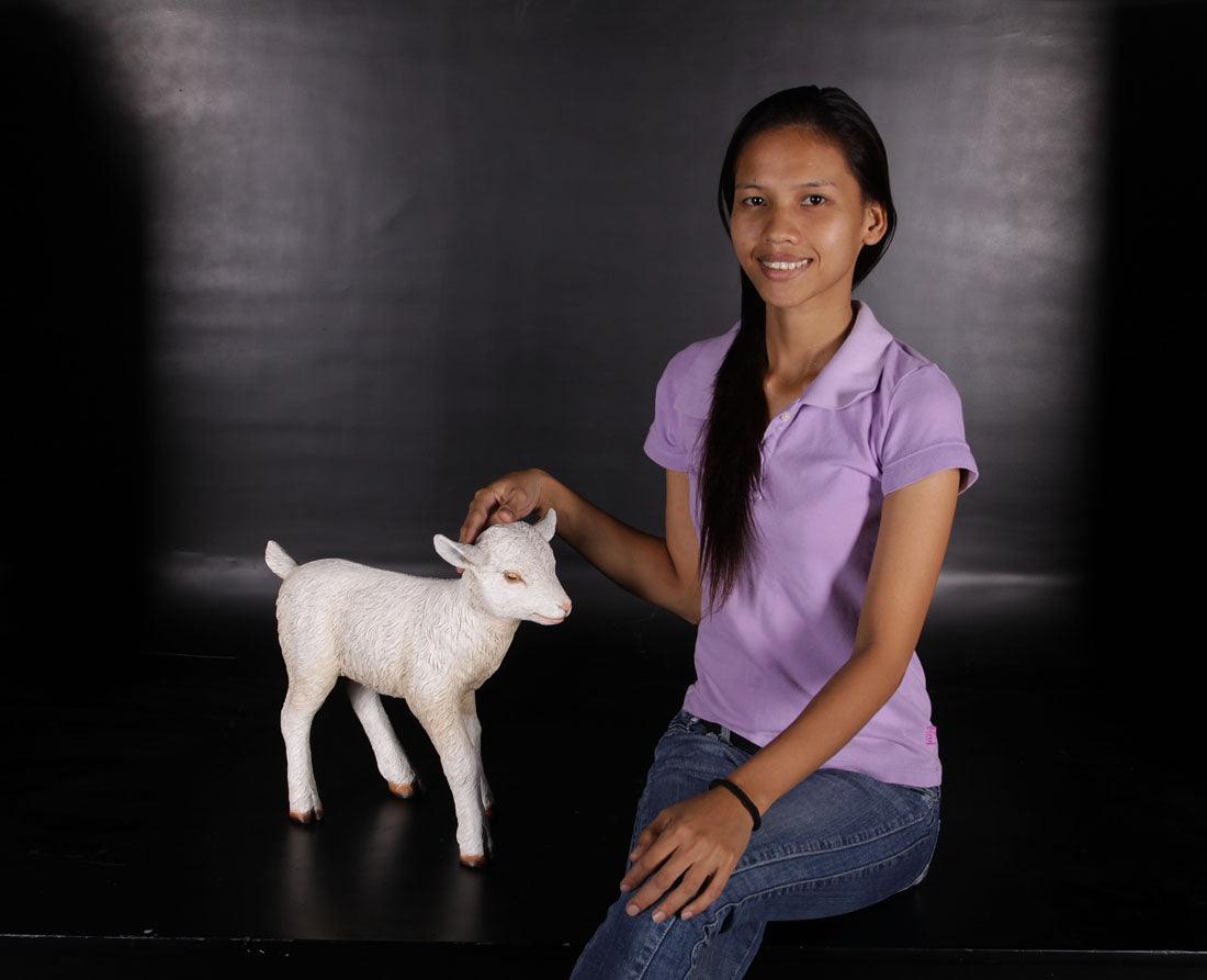 Baby Goat Standing Statue - LM Treasures Prop Rentals 