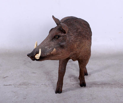 Wild African Warthog Pig Statue - LM Treasures Prop Rentals 