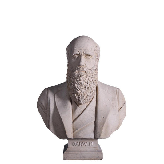 Darwin Stone Bust Statue