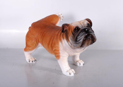 Bulldog Peeing Life Size Statue - LM Treasures Prop Rentals 