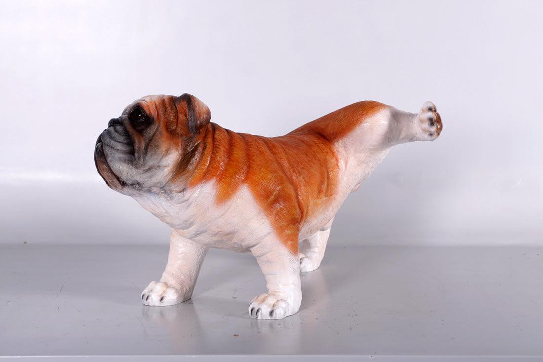 Bulldog Peeing Life Size Statue - LM Treasures Prop Rentals 