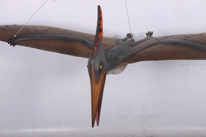 Large Flying Pteranodon Dinosaur Statue - LM Treasures Prop Rentals 