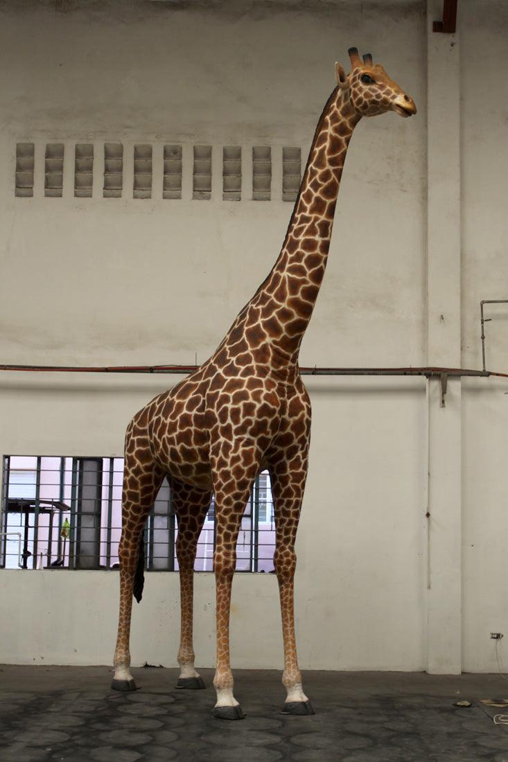 Life Size Giraffe Statue - LM Treasures Prop Rentals 