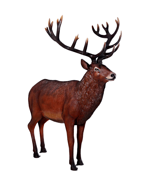 Majestic Stag Deer Life Size Statue