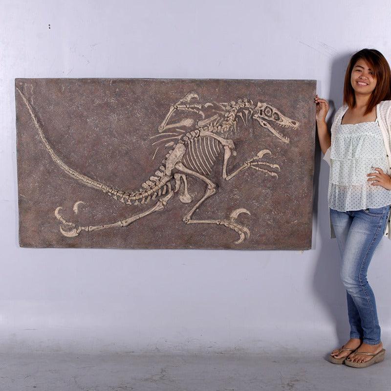 Velociraptor Dinosaur Skeleton Statue - LM Treasures Prop Rentals 