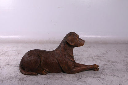 Chocolate Laying Labrador Life Size Statue - LM Treasures Prop Rentals 
