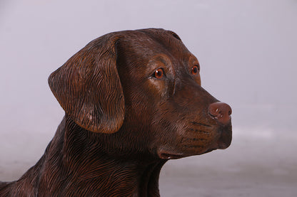 Chocolate Laying Labrador Life Size Statue - LM Treasures Prop Rentals 