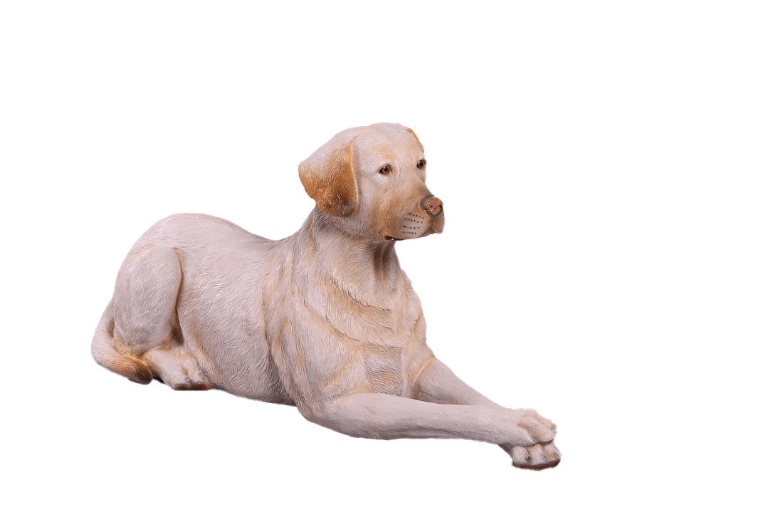 Tan Laying Labrador Life Size Statue