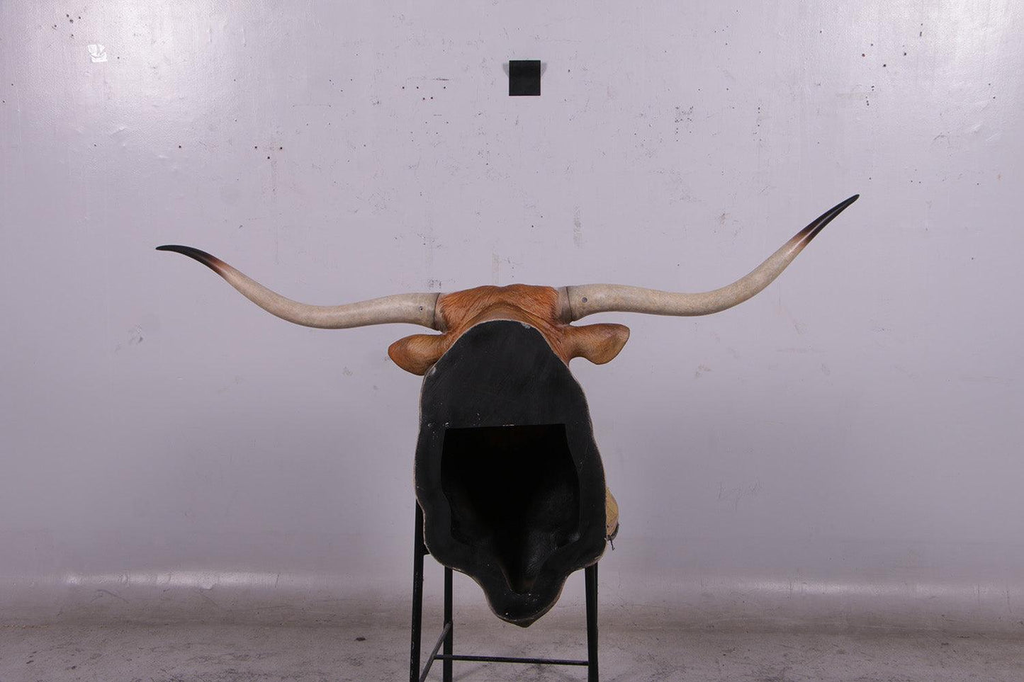 Texas Long Horn Head Life Size Statue - LM Treasures Prop Rentals 