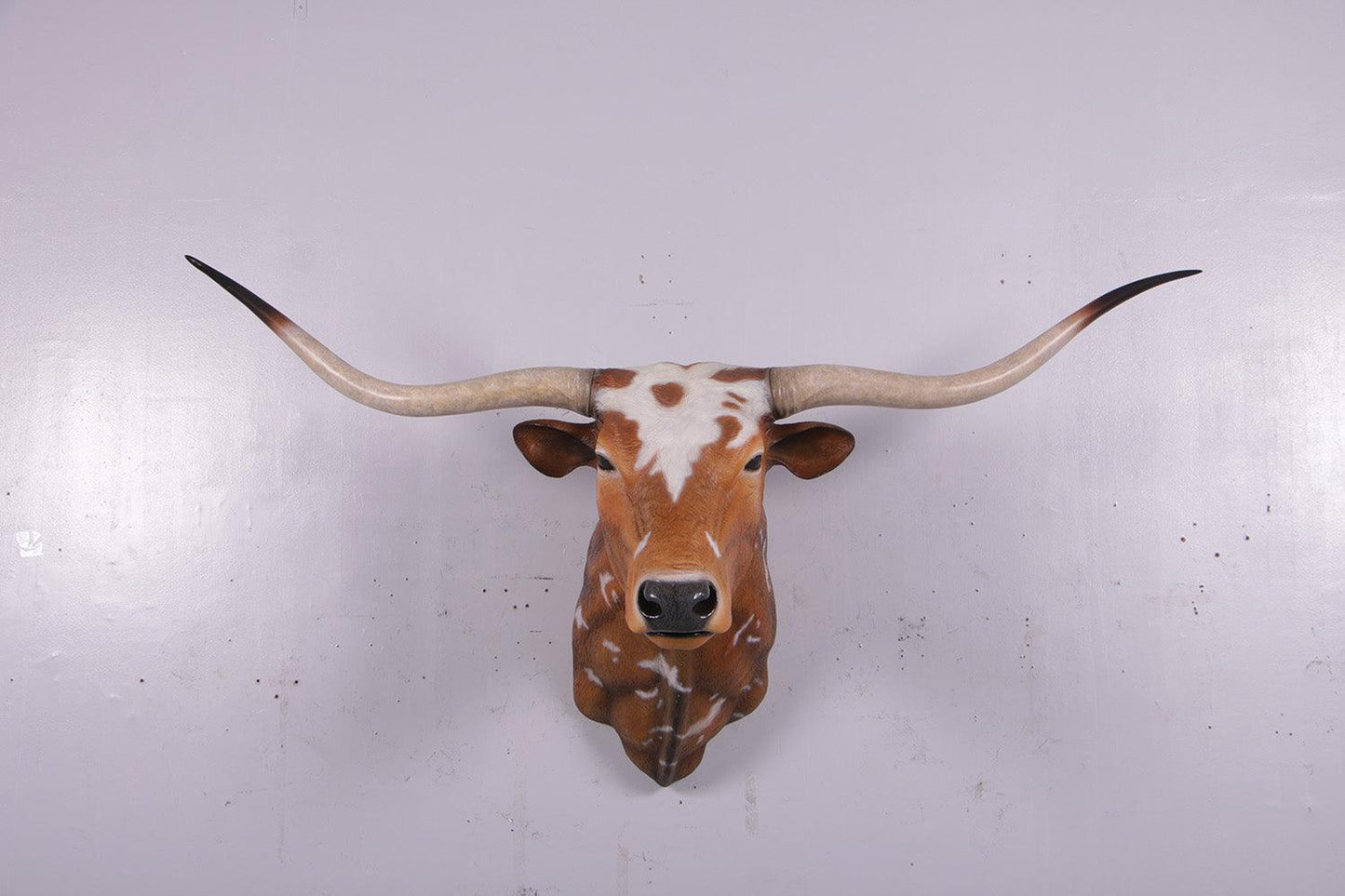 Texas Long Horn Head Life Size Statue - LM Treasures Prop Rentals 