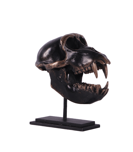 Monkey Skull Macaque on Base Animal Prop Resin Decor Statue - LM Treasures Prop Rentals 