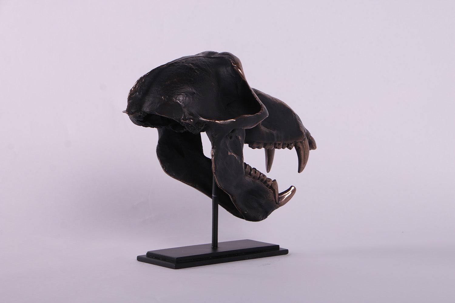 Monkey Skull Chacma Baboon On Base Animal Prop Resin Decor Statue - LM Treasures Prop Rentals 