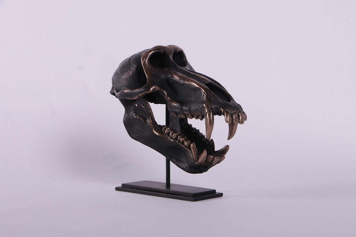 Monkey Skull Chacma Baboon On Base Animal Prop Resin Decor Statue - LM Treasures Prop Rentals 