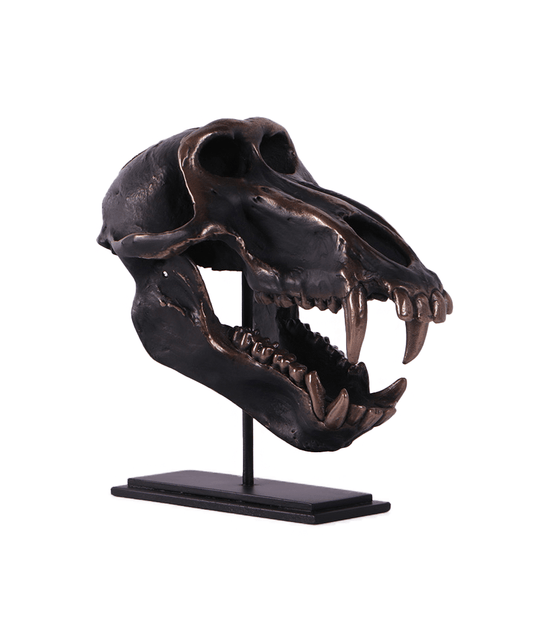 Monkey Skull Chacma Baboon On Base Animal Prop Resin Decor Statue - LM Treasures Prop Rentals 