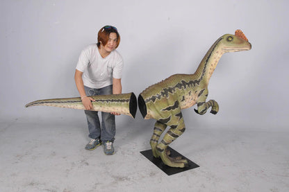 Dilong Paradoxus Dinosaur Statue - LM Treasures Prop Rentals 