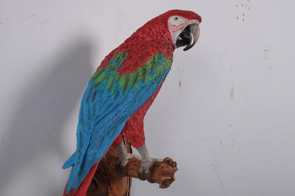Red Parrot On Branch Life Size Statue Prop - LM Treasures Prop Rentals 