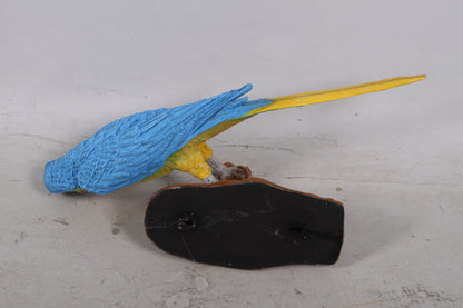 Blue Parrot On Branch Life Size Statue Prop