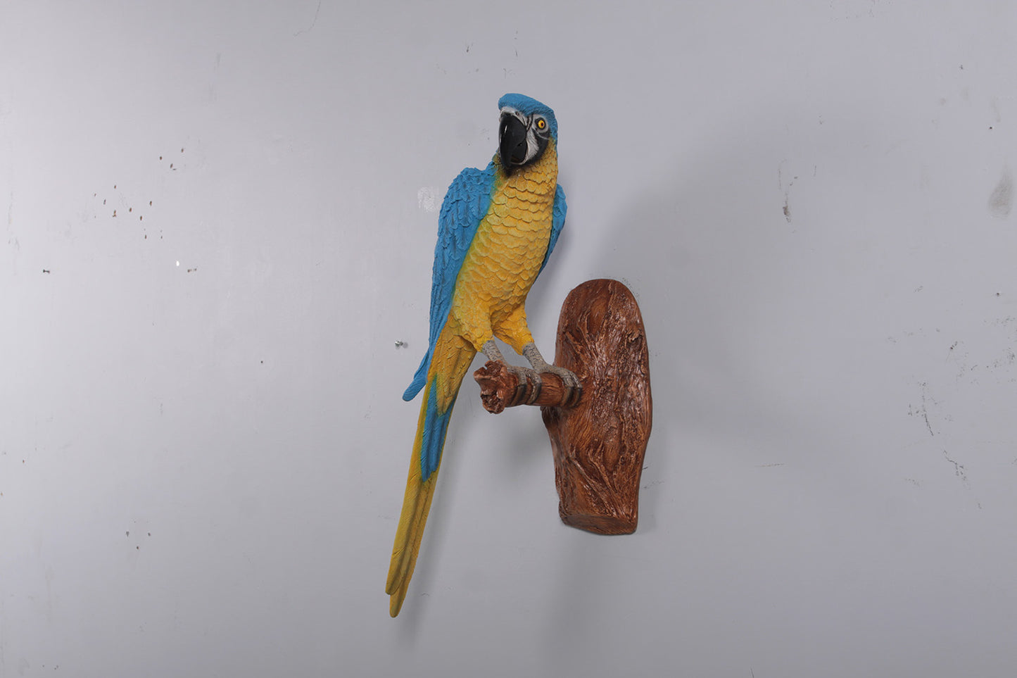 Blue Parrot On Branch Life Size Statue Prop