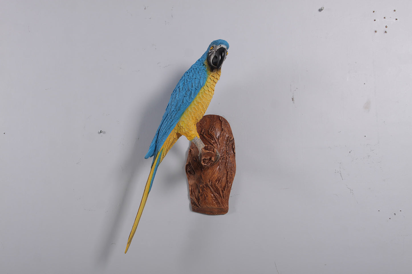 Blue Parrot On Branch Life Size Statue Prop