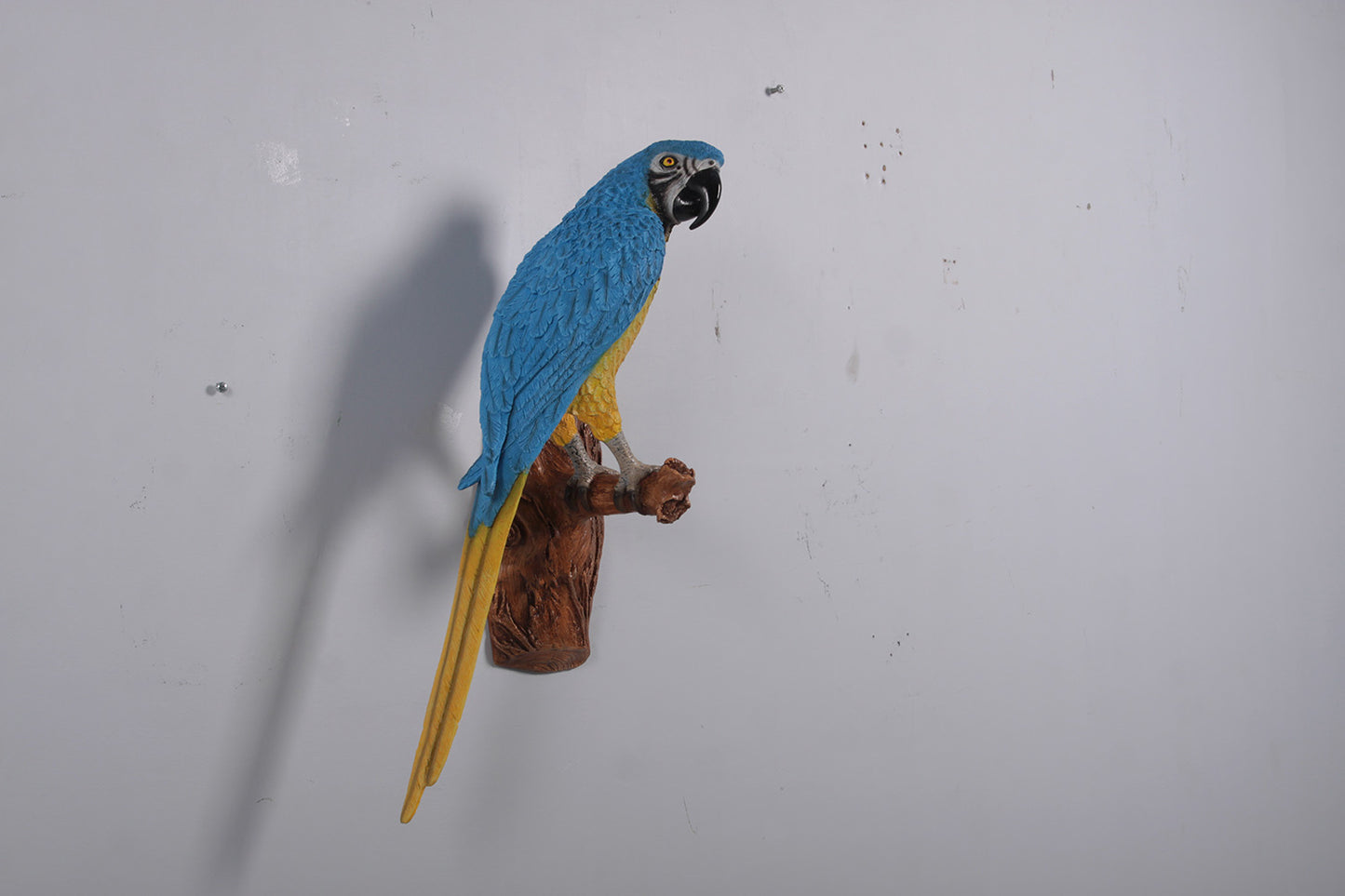 Blue Parrot On Branch Life Size Statue Prop