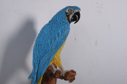 Blue Parrot On Branch Life Size Statue Prop