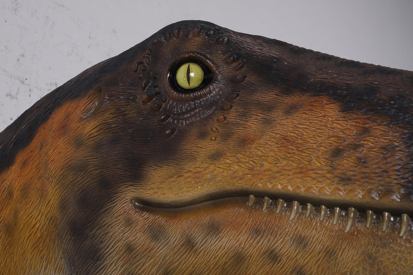 Theropod Dinosaur Head Statue - LM Treasures Prop Rentals 