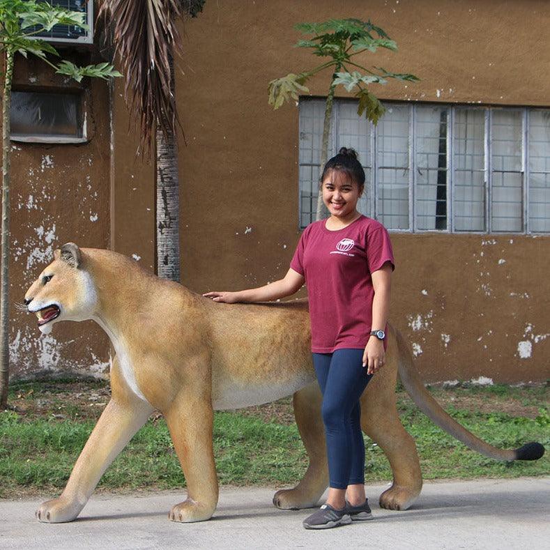 Walking Lioness Life Size Statue - LM Treasures Prop Rentals 