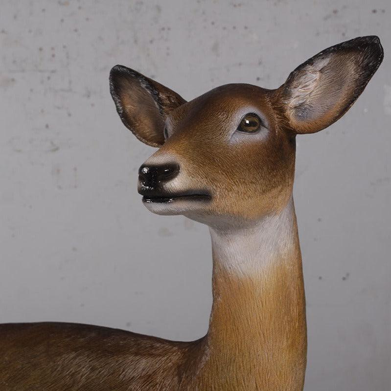 Baby Deer Standing Life Size Statue