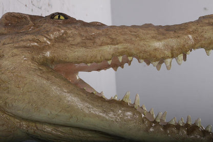 Crocodile Head Life Size Statue - LM Treasures Prop Rentals 