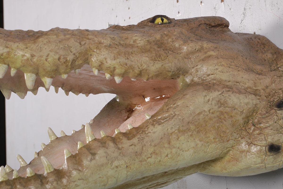 Crocodile Head Life Size Statue - LM Treasures Prop Rentals 