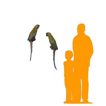 Hanging Macaw Buffon Parrots Statue - LM Treasures Prop Rentals 