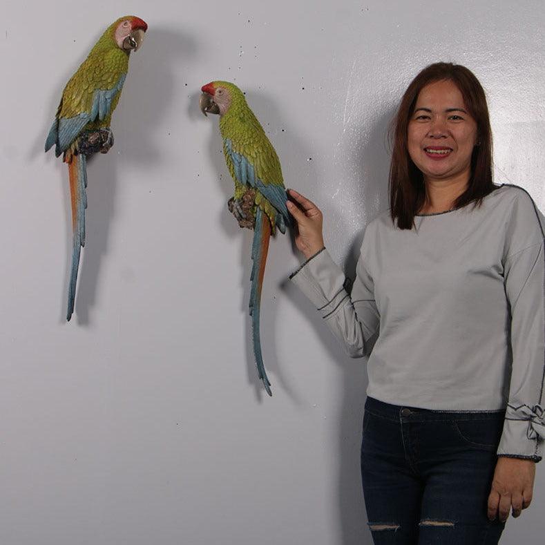 Hanging Macaw Buffon Parrots Statue - LM Treasures Prop Rentals 