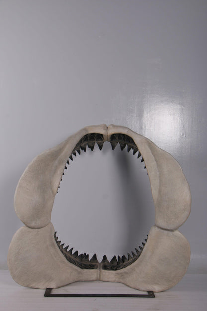 Megalodon Shark Jaw Statue - LM Treasures Prop Rentals 