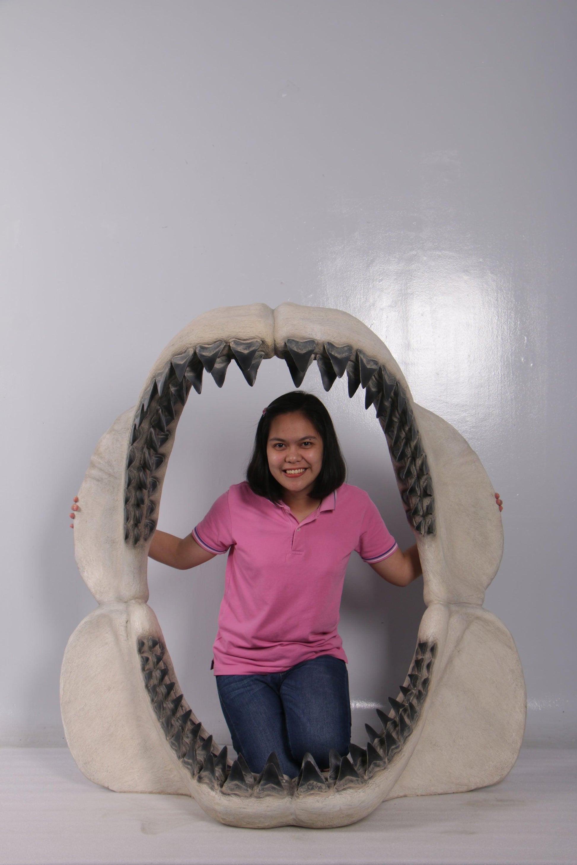 Megalodon Shark Jaw Statue - LM Treasures Prop Rentals 