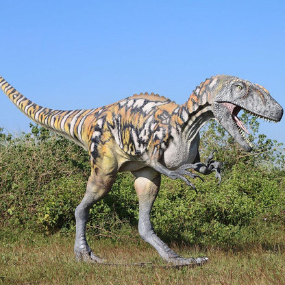 Australovenator Dinosaur Life Size Statue