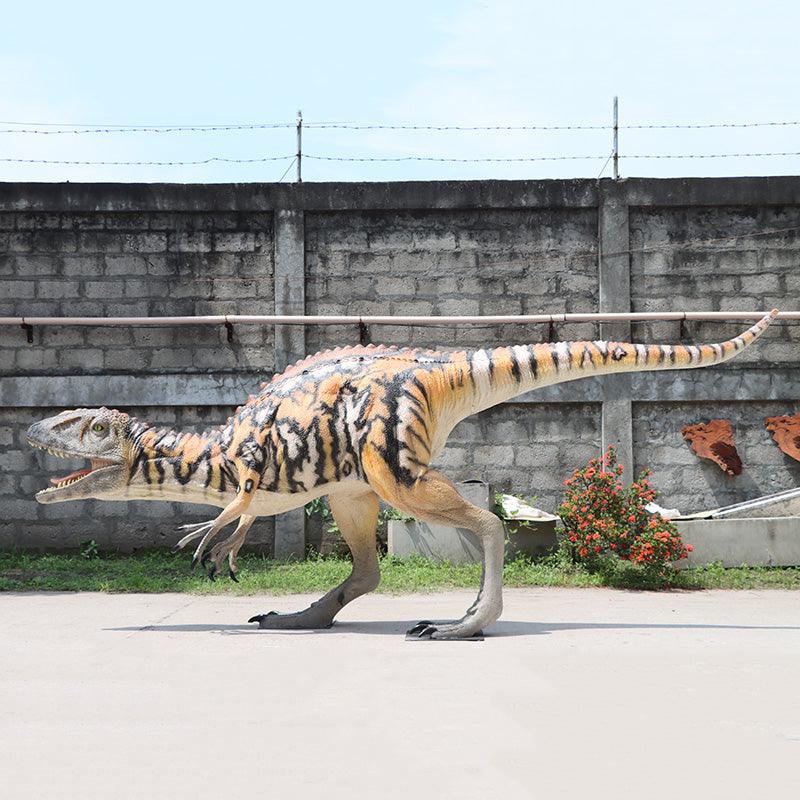 Female Australovenator Dinosaur Life Size Statue - LM Treasures Prop Rentals 